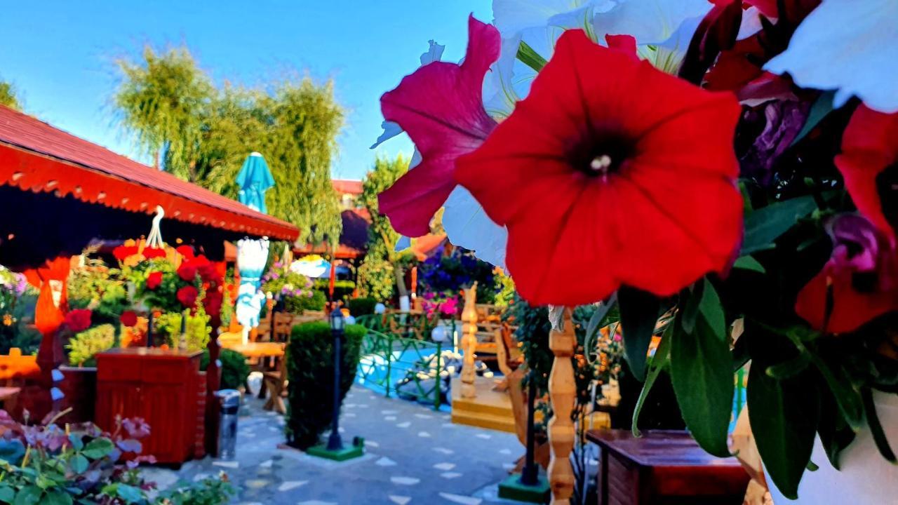 Hotel Poienita Costineşti Exterior foto