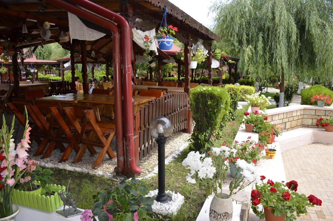 Hotel Poienita Costineşti Exterior foto