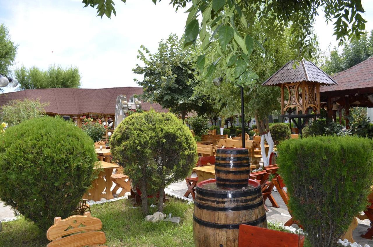 Hotel Poienita Costineşti Exterior foto
