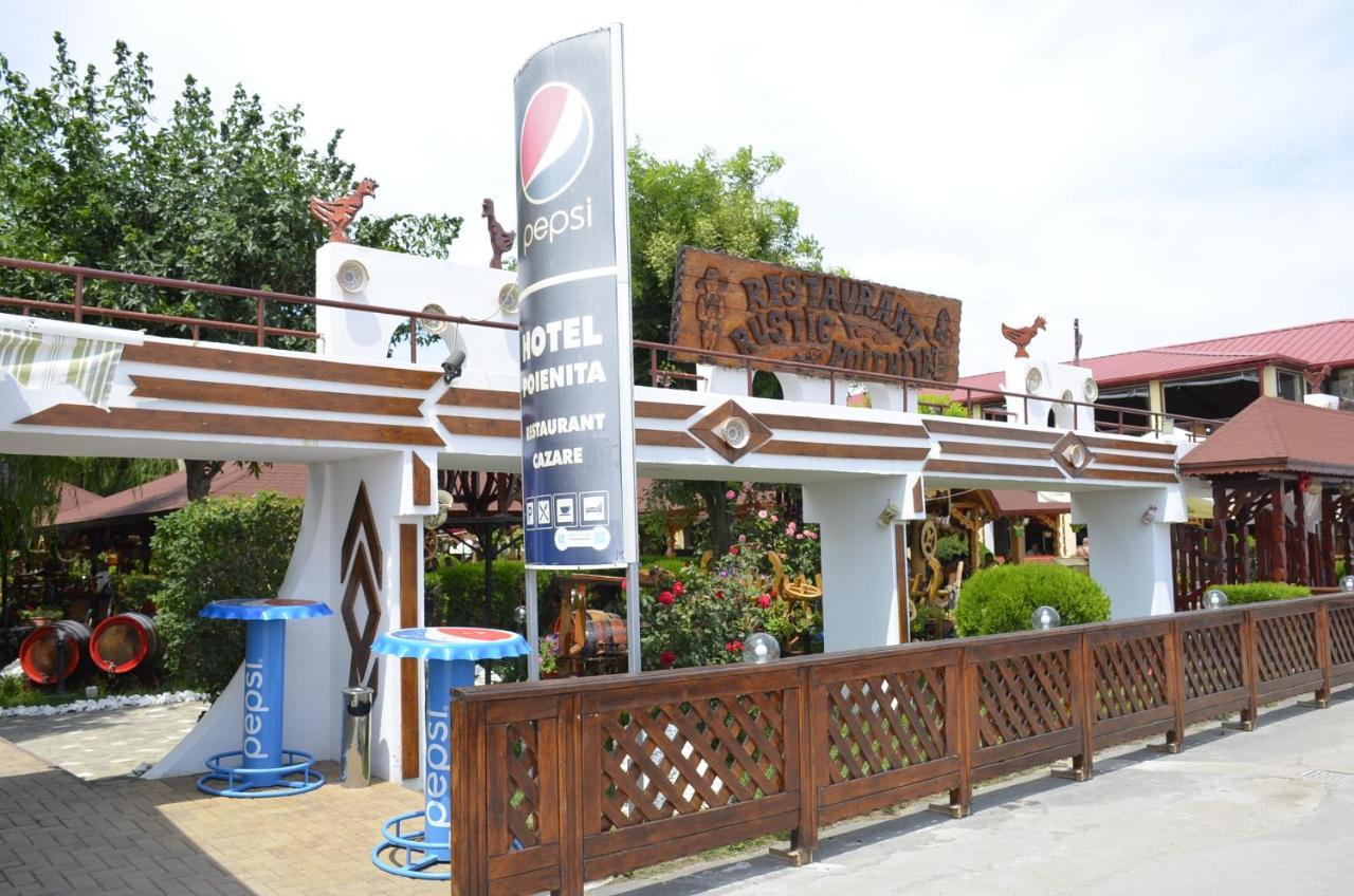 Hotel Poienita Costineşti Exterior foto